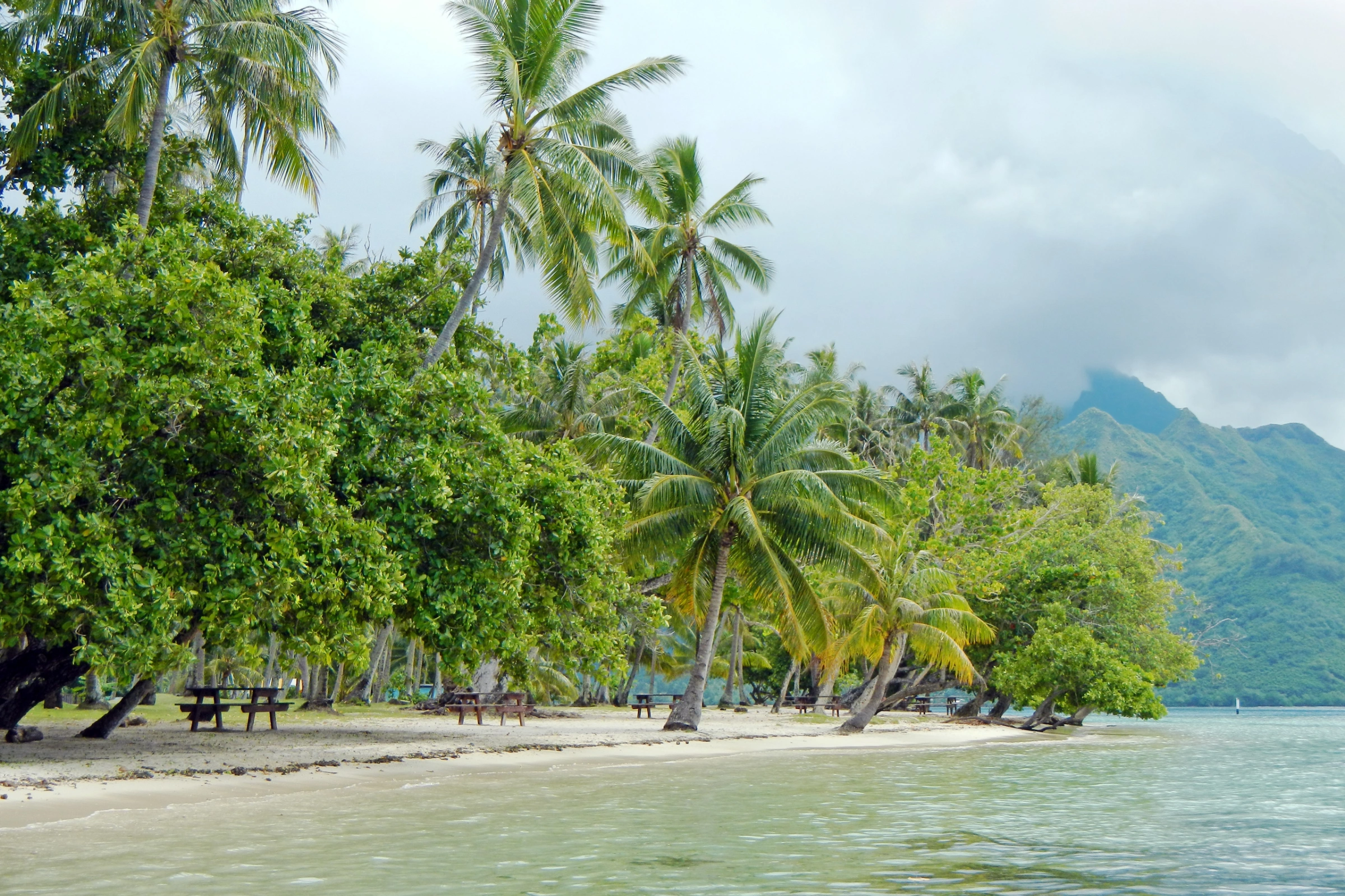 Opunohu_Bay,_Moorea_Island[1].webp